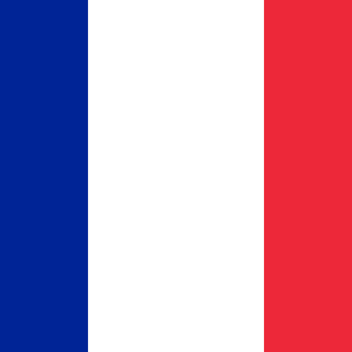 French  <br> 1:1 Online Lessons or In Person Classes