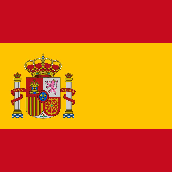 Spanish Language Lessons Online or In Person
