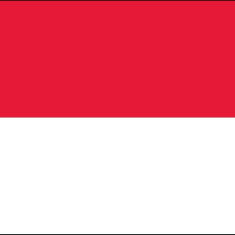 Indonesian Language Lessons  1:1 in person or online