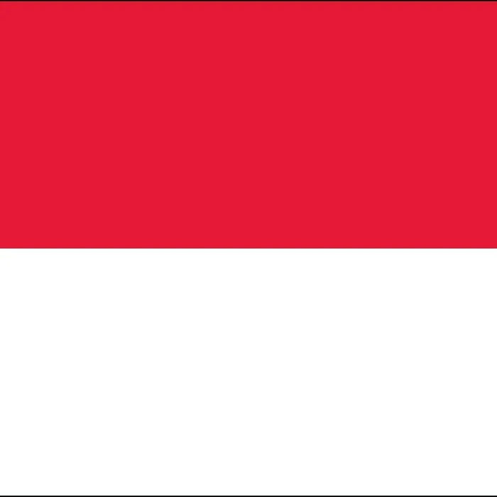 Indonesian Language Lessons  1:1 in person or online