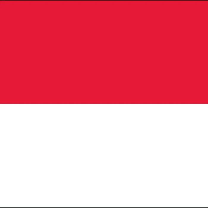 Indonesian Language - DLPT Prep