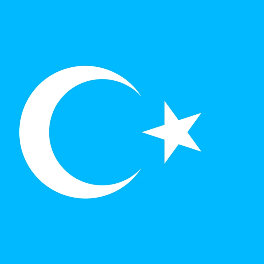 Uyghur - DLPT - Online Preparation