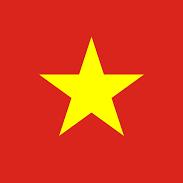 Vietnamese - DLPT - Online Preparation